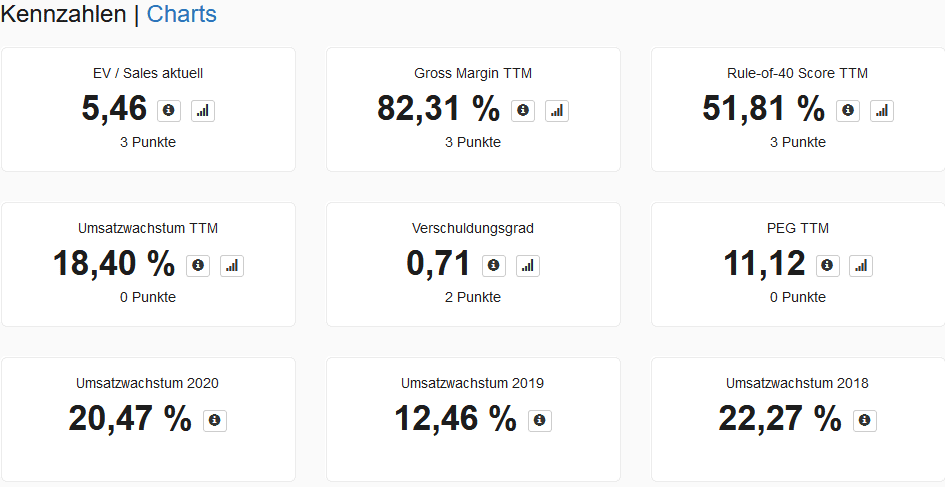 VMware Aktie - HGI-Kennzahlen